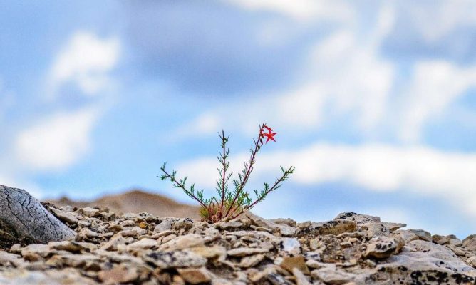 Spring Framework - Alibaba Cloud