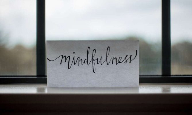 The Mindful Leader: 7 Practices for Transforming Your Leadership, Your Organisation and Your Life - Meditation
