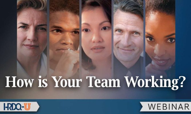 How is Your Team Working?