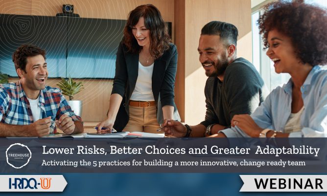 Lower Risks Better Choices Webinar | HRDQ-U